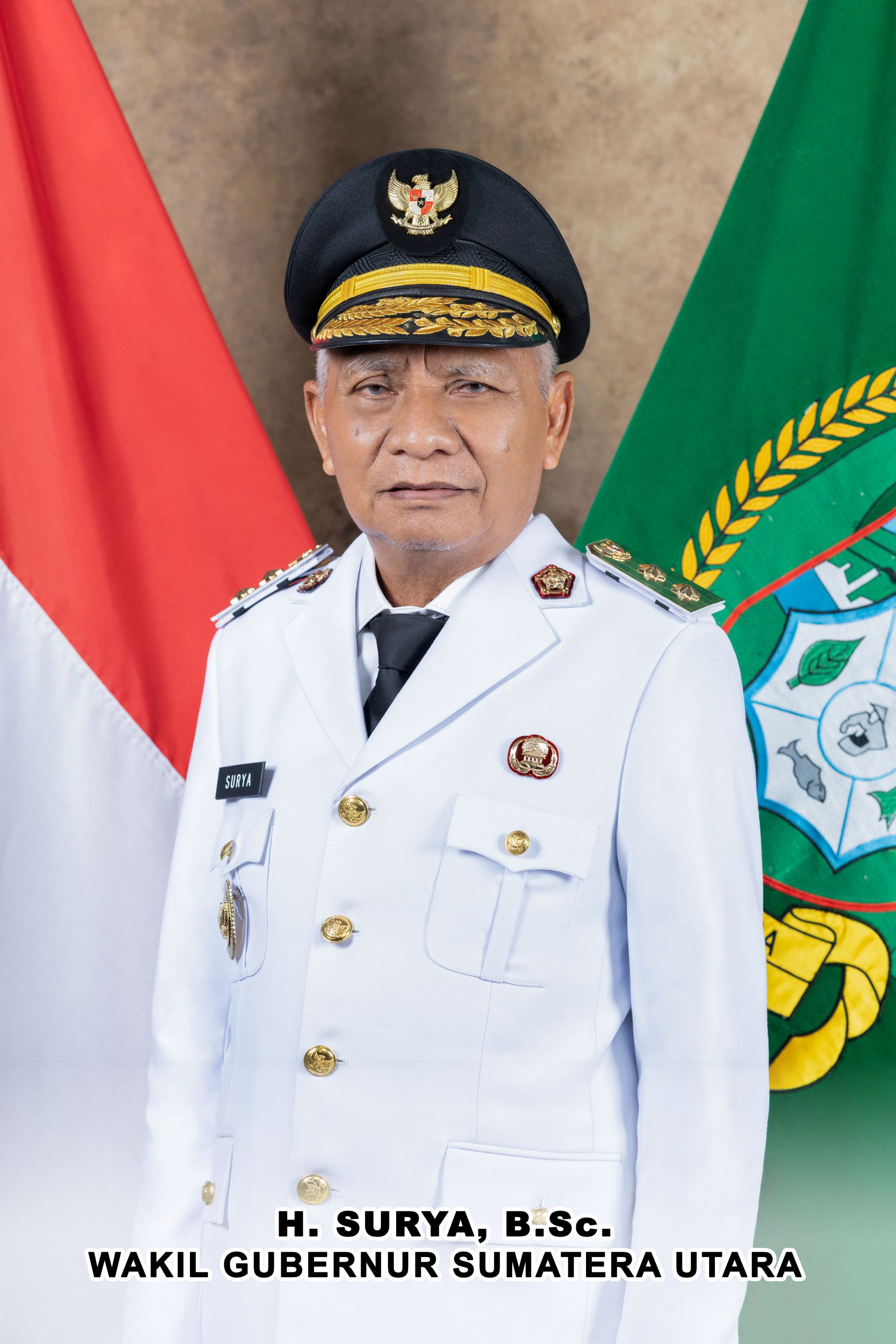 Wakil Gubernur